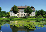 Das Schloss Branitz ist ein beliebtes Ausflugsziel und im Branitzer Park bei einem Spaziergang zu entdecken. 