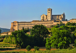Besuchen Sie in Assisi die Kirche San Francesco!