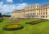 Besichtigen Sie das Schloss Schönbrunn in Wien. 