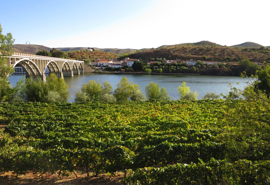 Barca d'Alva liegt malerisch eingebettet in der Hügellandschaft des Naturparks Parque Natural do Douro Internacional.