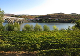 Barca d'Alva liegt malerisch eingebettet in der Hügellandschaft des Naturparks Parque Natural do Douro Internacional.