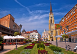 In Novi Sad können Sie sich vom schönen Umland begeistern lassen.
