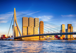 Die Erasmusbrücke ist eine der bekanntesten Sehenswürdigkeiten Rotterdams.