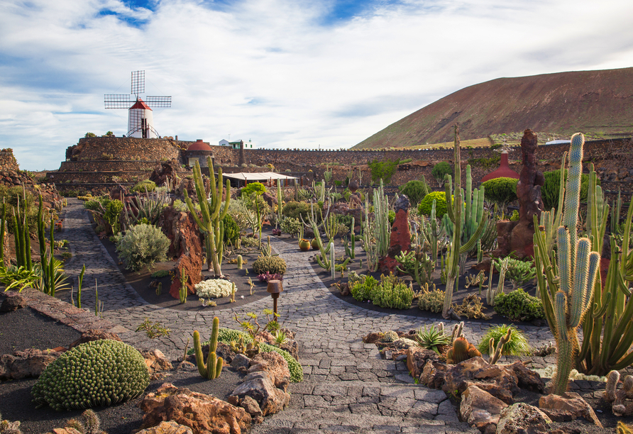 Besuchen Sie den traumhaften Kaktusgarten auf Lanzarote.