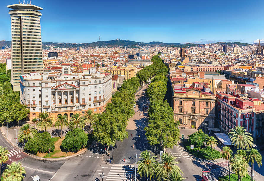 Blick auf die Las Ramblas – Barcelonas Flaniermeile