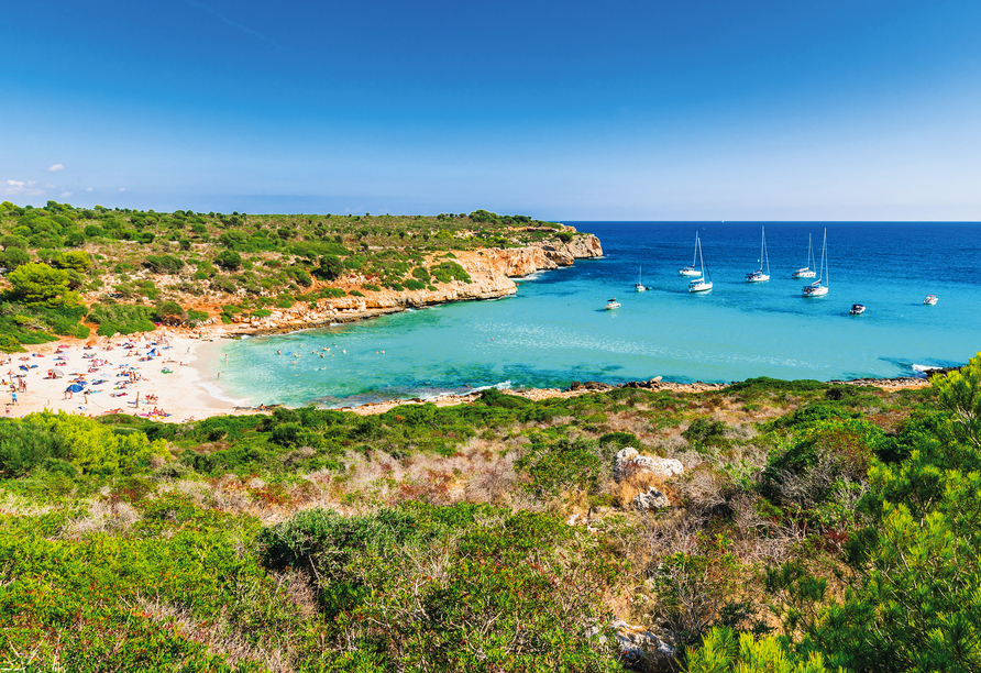 Entdecken Sie die wunderschönen Traumstrände von Mallorca während Ihres anschließenden Hotelaufenthalts.