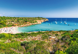 Entdecken Sie die wunderschönen Traumstrände von Mallorca während Ihres anschließenden Hotelaufenthalts.