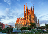 In Barcelona sollten Sie sich den Besuch der Sagrada Família nicht entgehen lassen.