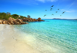 Weiße Sandstrände und kristallklares Wasser machen die Costa Smeralda zu einem Küstenparadies.