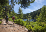 Wandern Sie durch die malerische Landschaft des Schwarzwalds!