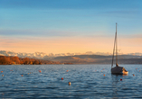 Ein besonderes Highlight ist der malerische Zürichsee.