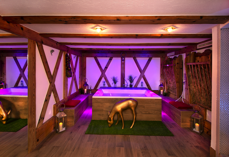 Der Alpen Spa – einer der Private Spa's, wo Sie Wellness exklusiv erleben können.