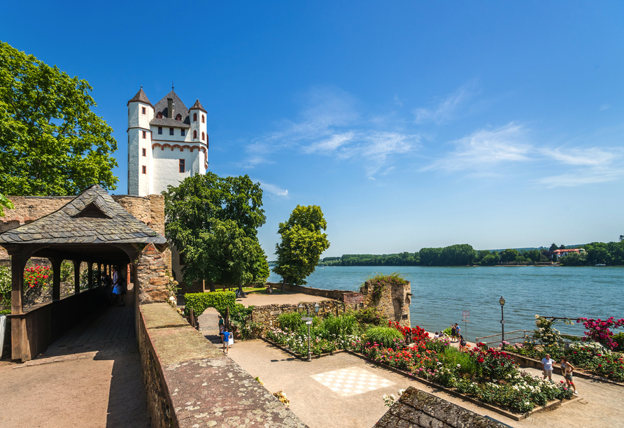 Spazieren Sie in Eltville entlang der Kurfürstlichen Burg und des schönen Rheinufers.