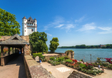 Spazieren Sie in Eltville entlang der Kurfürstlichen Burg und des schönen Rheinufers.