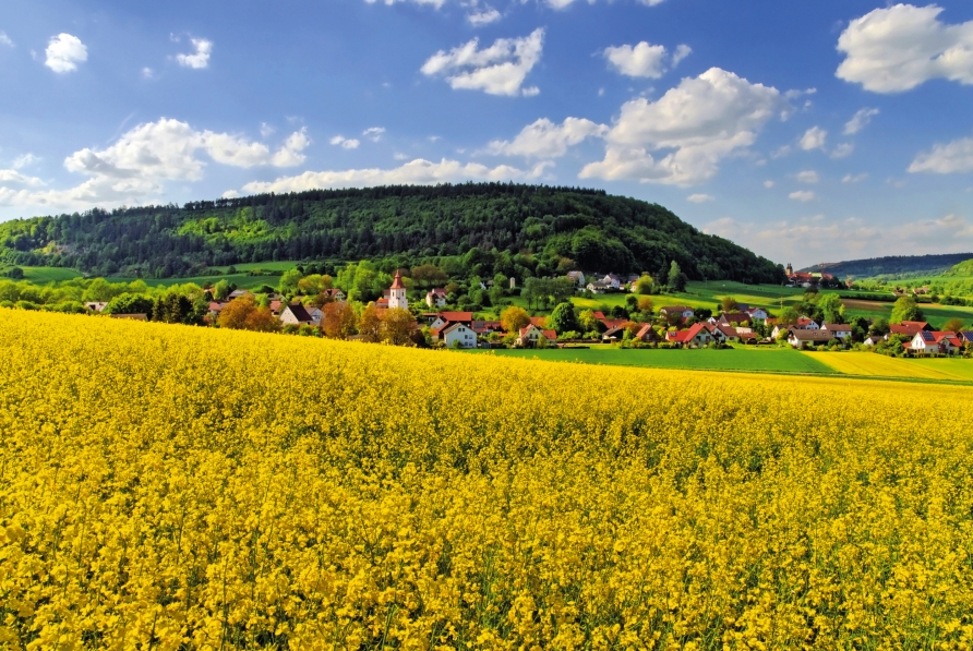 Biberbach bei Beilngries im Altmühltal