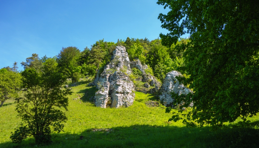 Radeln Sie den Altmühltal-Panoramaweg entlang.