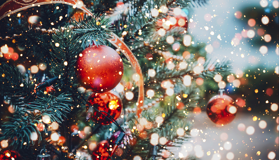 Freuen Sie sich auf eine wundervaolle Weihnachtszeit in Thüringen!