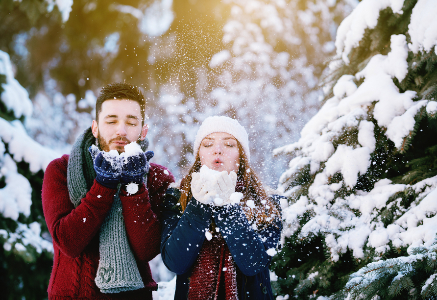 Ein Spaziergang im weißen Winterwald bringt Sie in weihnachtliche Stimmung.
