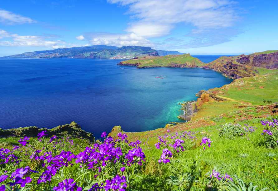 Entfliehen Sie dem Winter auf die wunderschöne Insel Madeira.