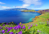 Entfliehen Sie dem Winter auf die wunderschöne Insel Madeira.