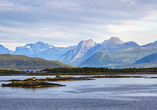 In Molde können Sie eines der schönsten Bergpanoramen Norwegens bewundern.