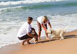 Am gepflegten Strand von Rimini sind Hunde willlkommen. 