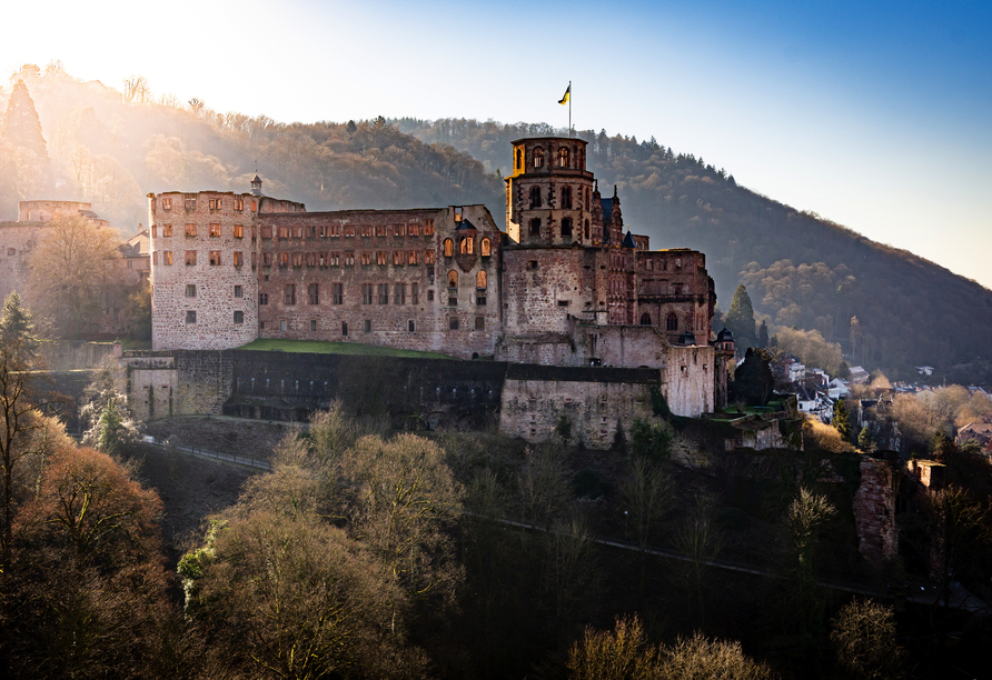 Das romantische Schloss in Heidelberg