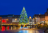Schlendern Sie über den Weihnachtsmarkt auf dem Kléberplatz in Straßburg.