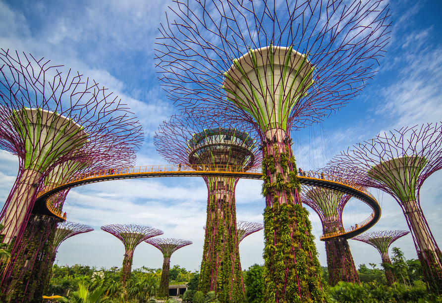Verpassen Sie in Singapur nicht die riesigen Suprtree Groves.