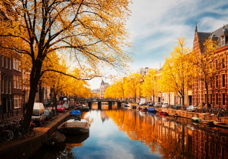 Erleben Sie einen goldenen Herbst in den Niederlanden!
