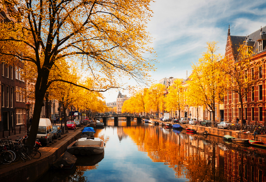 Erleben Sie einen goldenen Herbst in den Niederlanden!