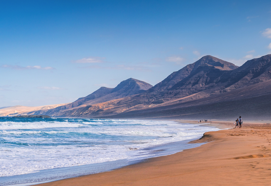 Atemberaubende Sandstrände warten auf Fuerteventura auf Sie.