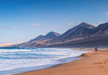 Atemberaubende Sandstrände warten auf Fuerteventura auf Sie.