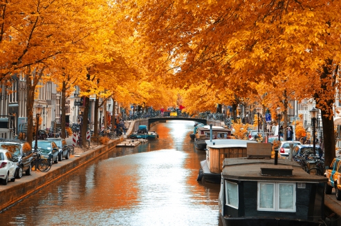 Im Oktober zeigt sich Amsterdam in einem gold-orangenen Herbstmantel.