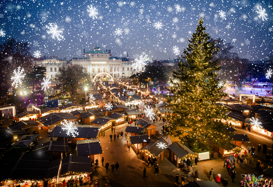 Freuen Sie sich auf magische Weihnachten in Wien!