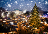 Freuen Sie sich auf magische Weihnachten in Wien!