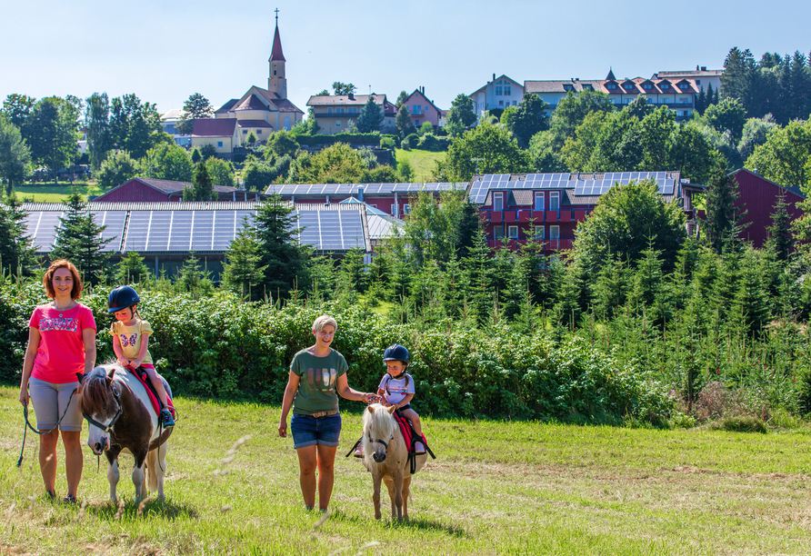 Die Pferde auf dem Reiterhof machen Ihren Aufenthalt im Bayerischen Wald zu einem ganz besonderen Erlebnis.
