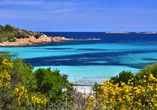 Die Costa Smeralda auf Sardinien verspricht Ihnen traumhafte Fotos und karibische Atmosphäre – jetzt schnell buchen!