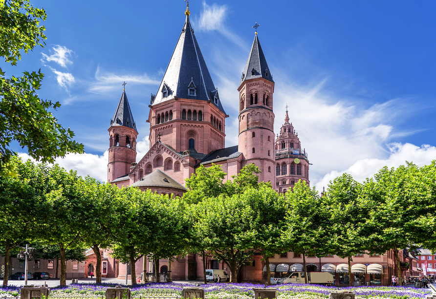 Der St. Martin Dom in Mainz 