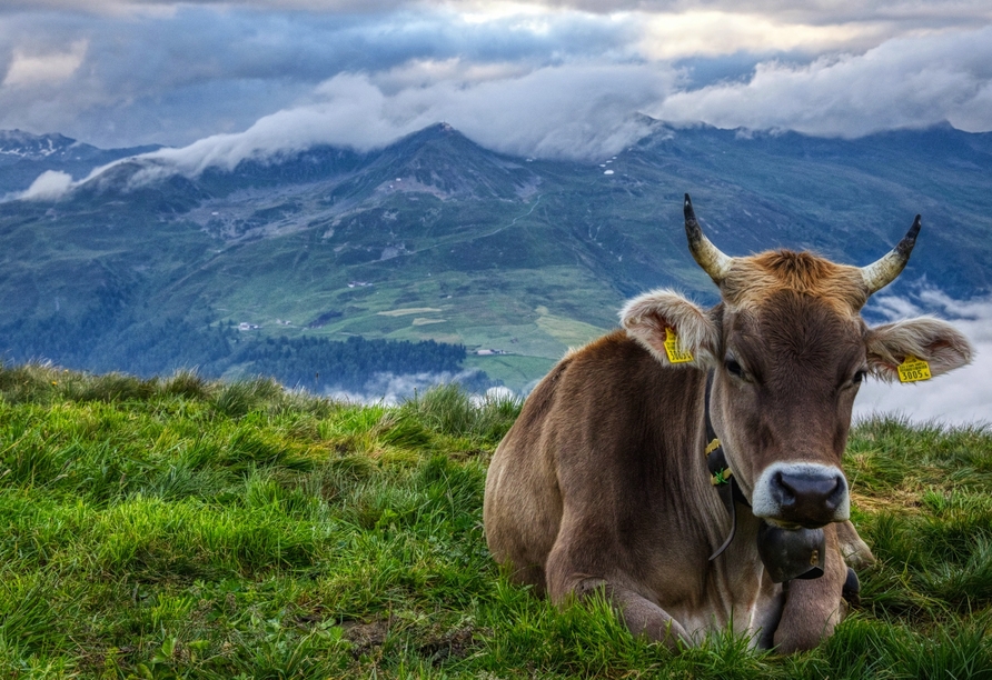 Die wundervolle Natur in der Schweiz wird Sie begeistern.