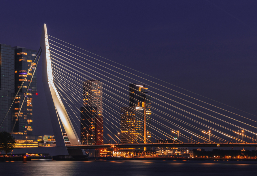 Die Architekturstadt Rotterdam begeistert mit der Erasmusbrücke.