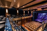 Die Shows im Theater werden Sie garantiert begeistern.