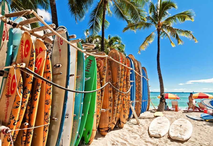Beobachten Sie die zahlreichen Surfer an den Stränden von Hawaii, oder versuchen Sie sich selbst einmal auf dem Brett.
