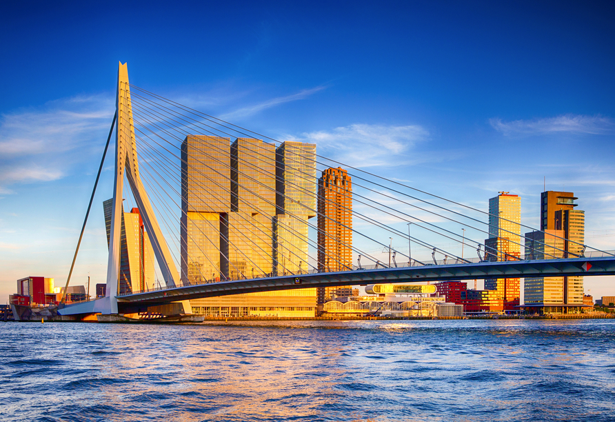 Architektonische Künste, wie die Erasmusbrücke, sind in Rotterdam überall zu finden.