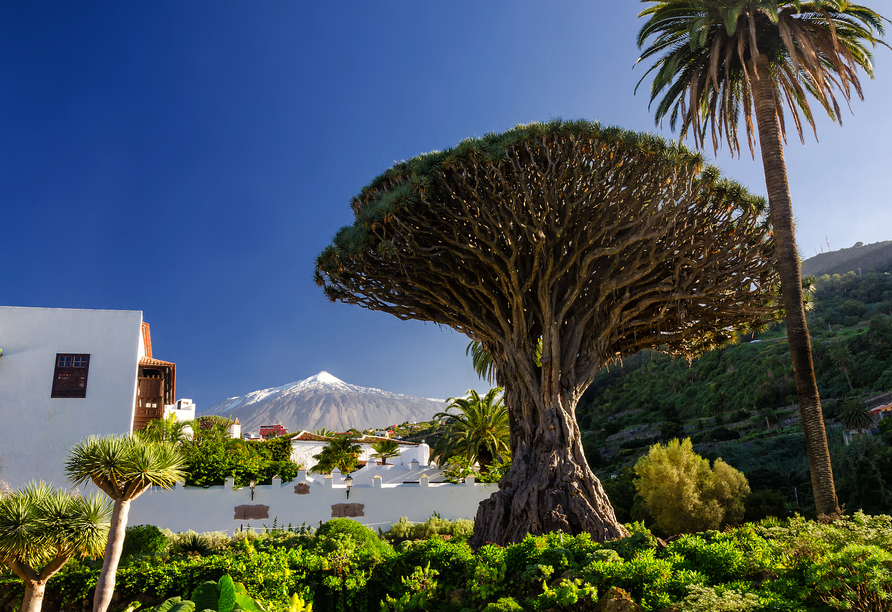 Der Nationalpark Teide auf Teneriffa begeistert mit spektakulären Vulkanlandschaften und einzigartigen Naturformationen.