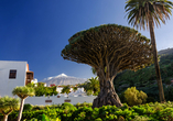 Der Nationalpark Teide auf Teneriffa begeistert mit spektakulären Vulkanlandschaften und einzigartigen Naturformationen.