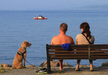 Verbringen Sie auch mit Ihrem Hund einen traumhaften Urlaub am Gardasee! 