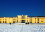 Auch im Winter strahlt das Schloss Schönbrunn in Wien.