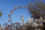 Besuchen Sie den Wiener Prater und fahren Sie eine Runde mit dem Riesenrad.
