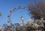 Besuchen Sie den Wiener Prater und fahren Sie eine Runde mit dem Riesenrad.